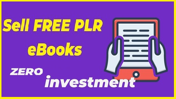 How To Sell PLR eBooks & Make Money With PLR eBooks 2024